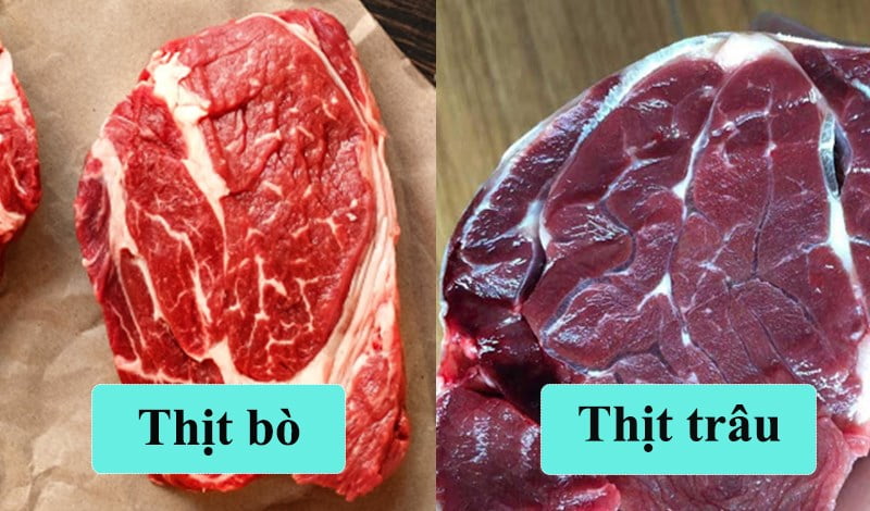Lưu ý khi lựa chọn thịt bò và thịt trâu